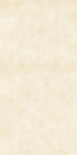 Kale_Cement_LUXURY CEMENT BEIGE