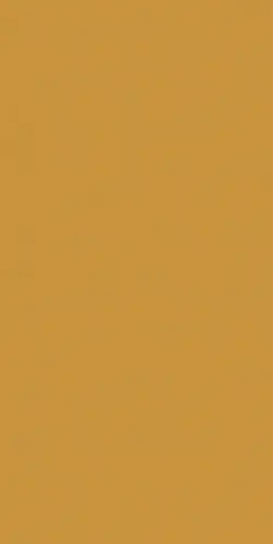 Kale_innovation_Orange