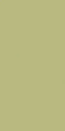 Kale_innovation_Pistachio Green